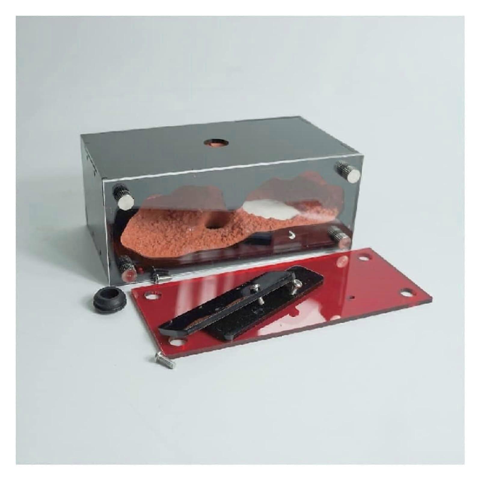 Transparent Viewing Educational Science Kit for Kids Compact Desktop Habitat