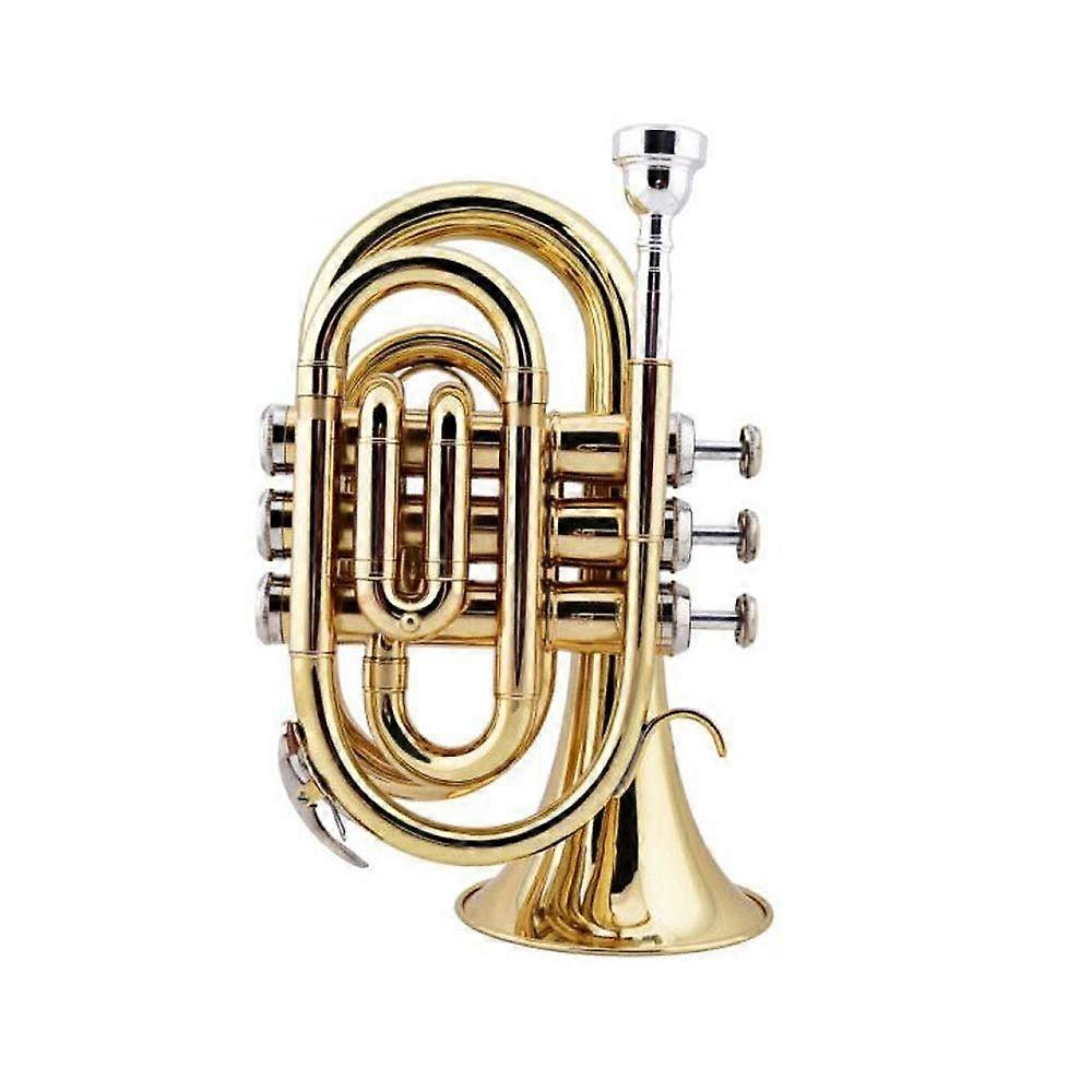 Student Trumpet Set with Hard Case Mouthpiece and Valve Oil, Bb Beginner Brass Trumpet for Practice
