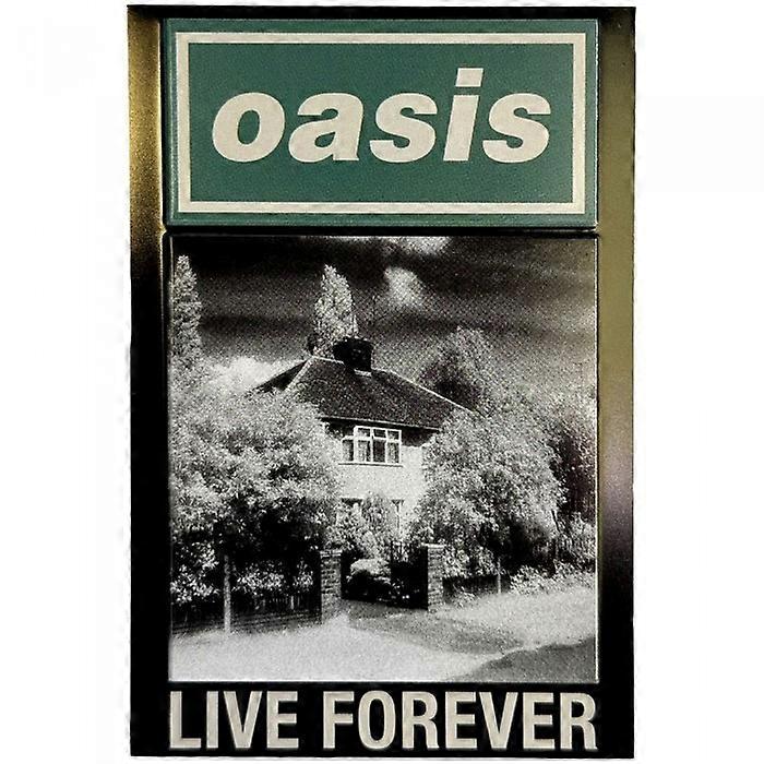 Oasis Live Forever Single Fridge Magnet