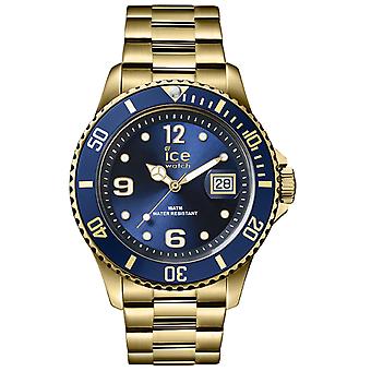 Ice steel Quartz Analog Women Watch with Stainless Steel Bracelet IC016761