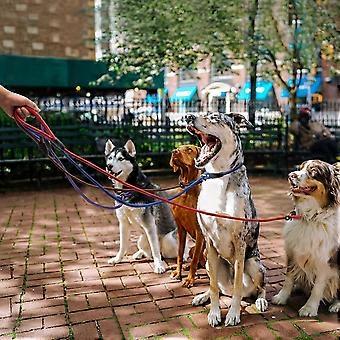 Slip Lead Hundeleine, 5-teilig, Nylonseil-Trainingsleine mit verstellbarer Schlaufe für kleine, mittlere und große Hunde, strapazierfähig für tägliche Spaziergänge