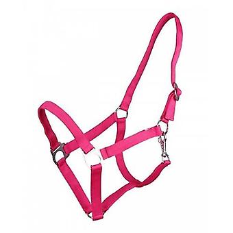 Apollo Nylon Headcollar