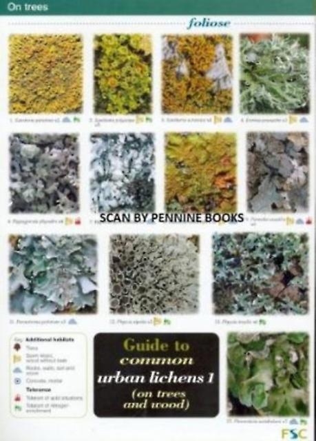 Guide To Common Urban Lichens by Frank Dobson Wallchart Book