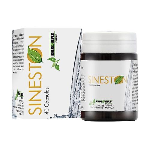 sineston urinary system 40 capsules