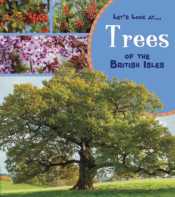 Trees Of The British Isles by Lucy Beevor Paperback