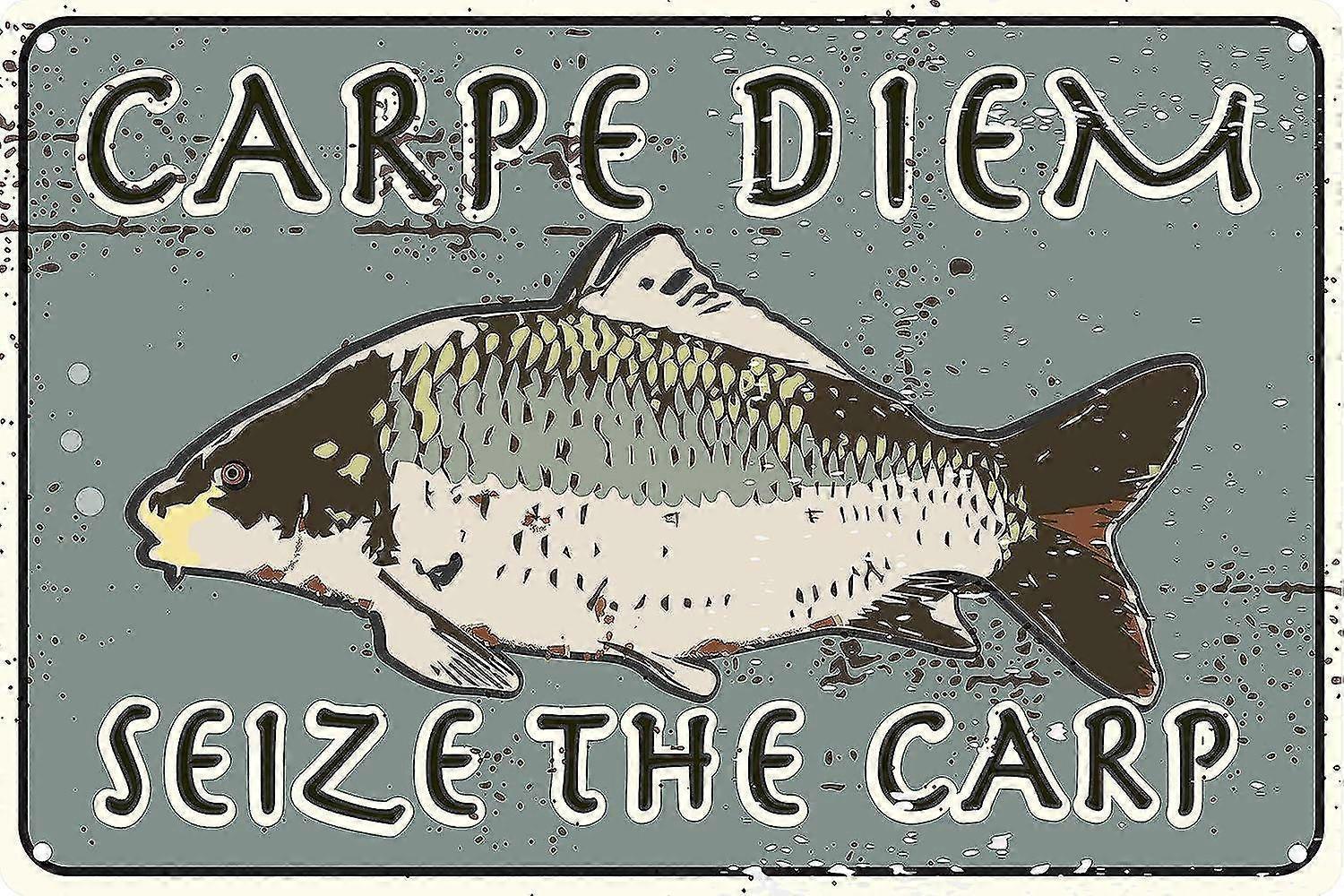 Carpe Diem Seize A Carpa 8x12 polegadas OU 12x16 polegadas Funny Tin Sign Bait And Tackle Shop Man Cave Garag