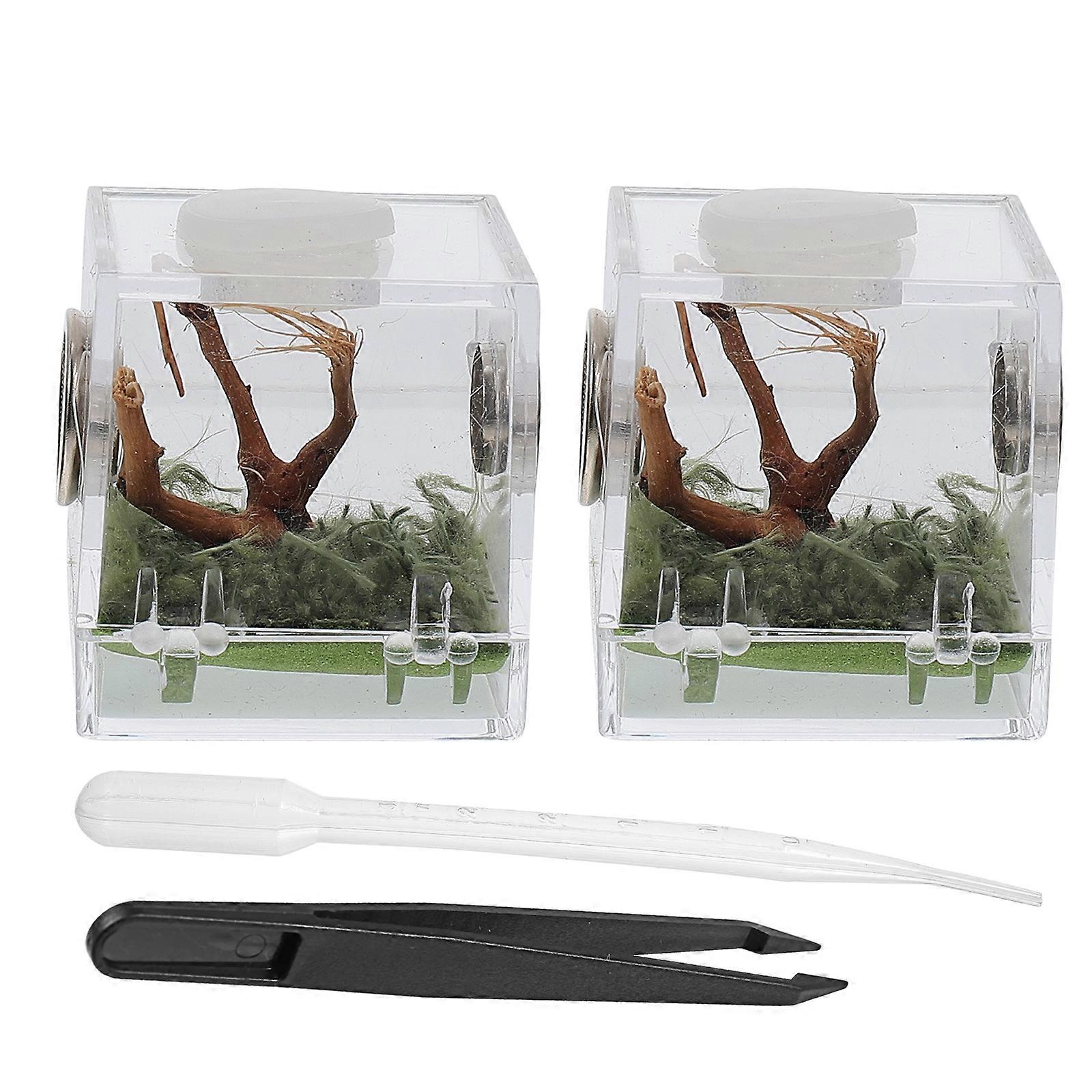 2 Set Reptichip Spider Dropper Spider Habitat Box Jumping Spider Clear Box Reptile Breeding Box Spider Terrarium