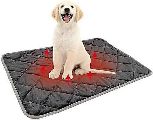 Washable, Non-Slip Dog Mat (Gray, L)