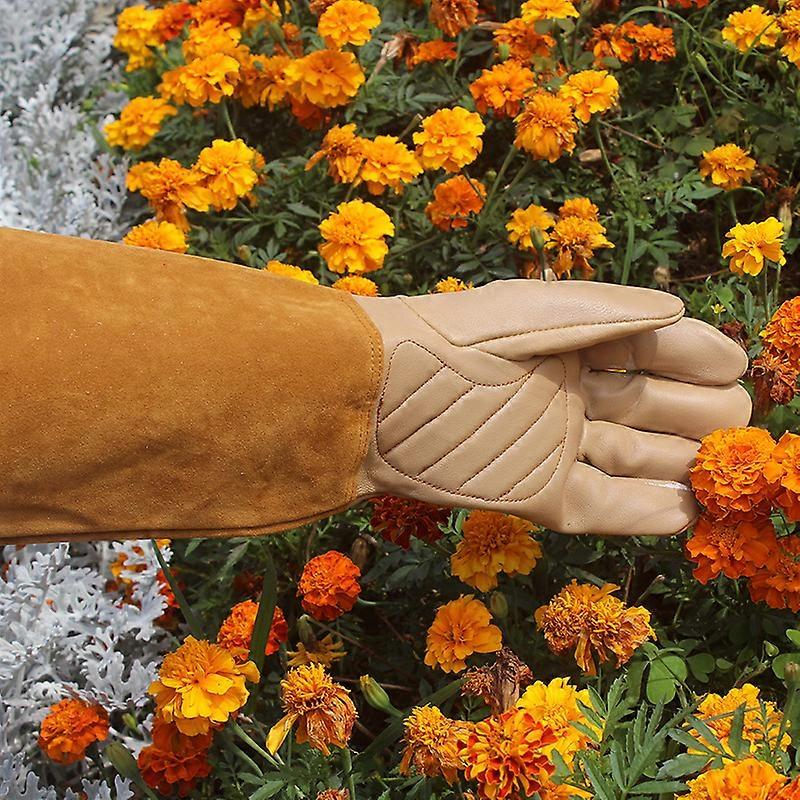 Gants De Protection Roncier pines Et Ronces - Taille 12Cm