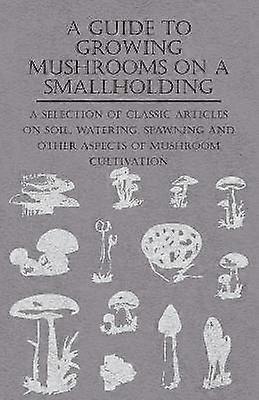 A Guide to Growing Mushrooms on a Smallholding