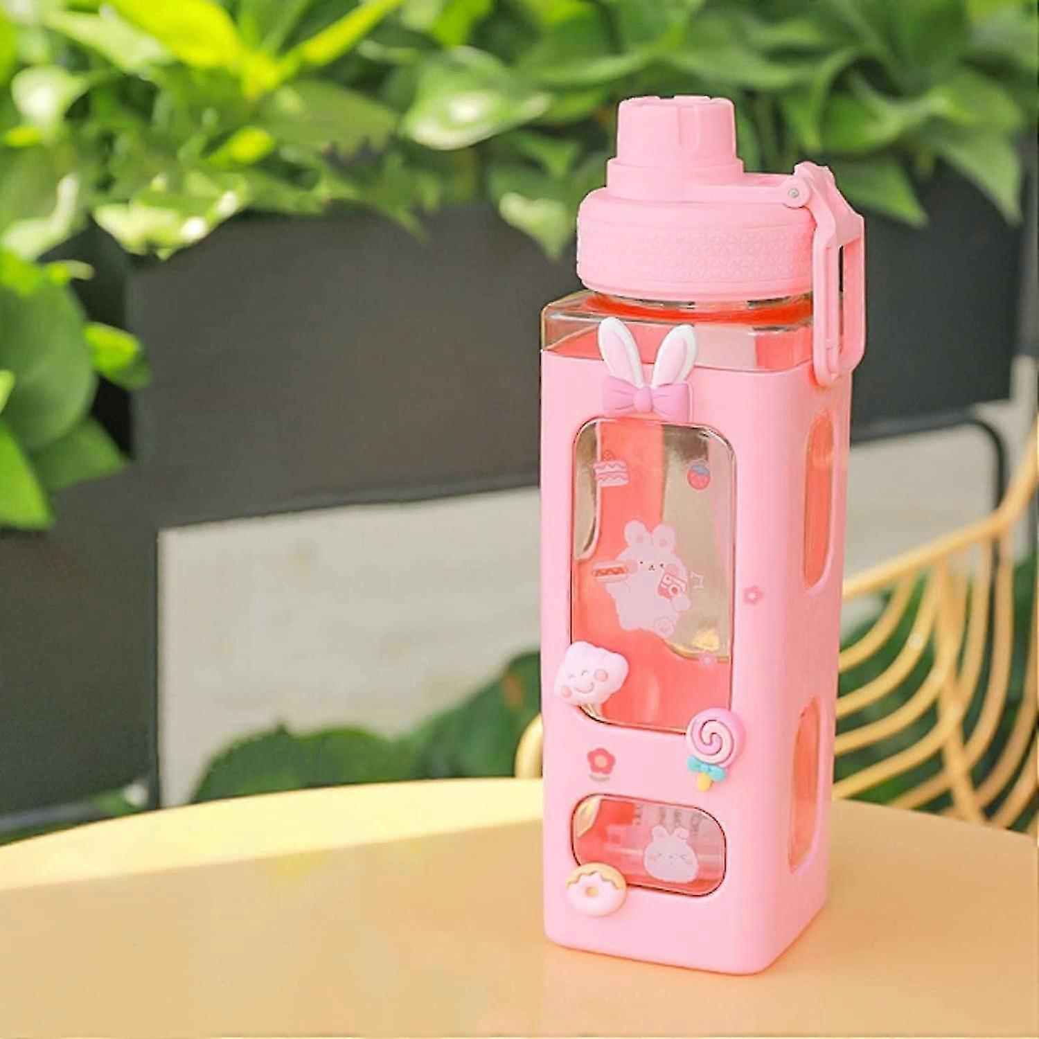 700ml Laptop Bottles For Drinks, With Straw Stickers