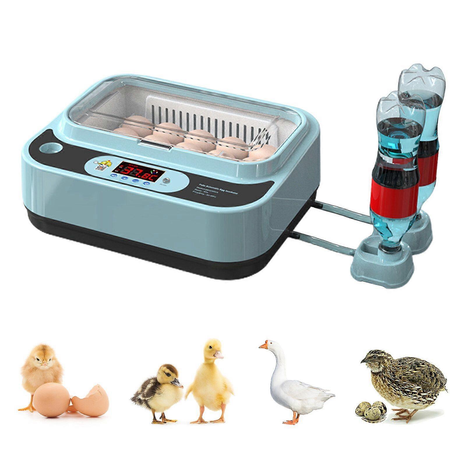 BIG Discount 30% Automatic Egg Turner Blue Utomatic Water Adding Dual Power Supply Plastic With Drawer Eggs Incubator