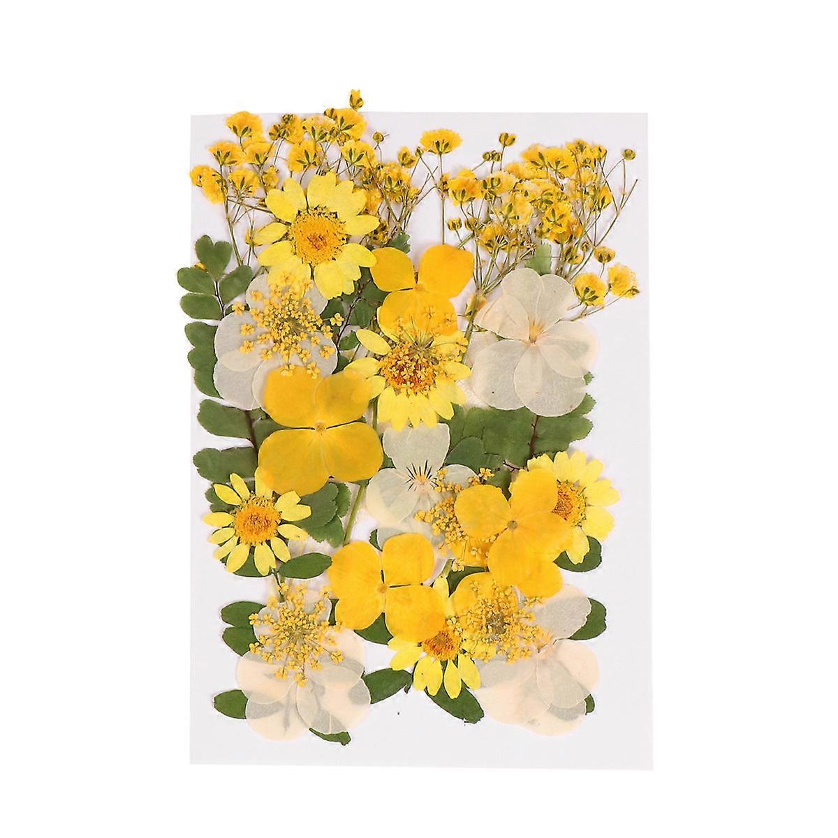 Natural Dried Flowers for DIY Crafts, Enhance Any Room or Event
