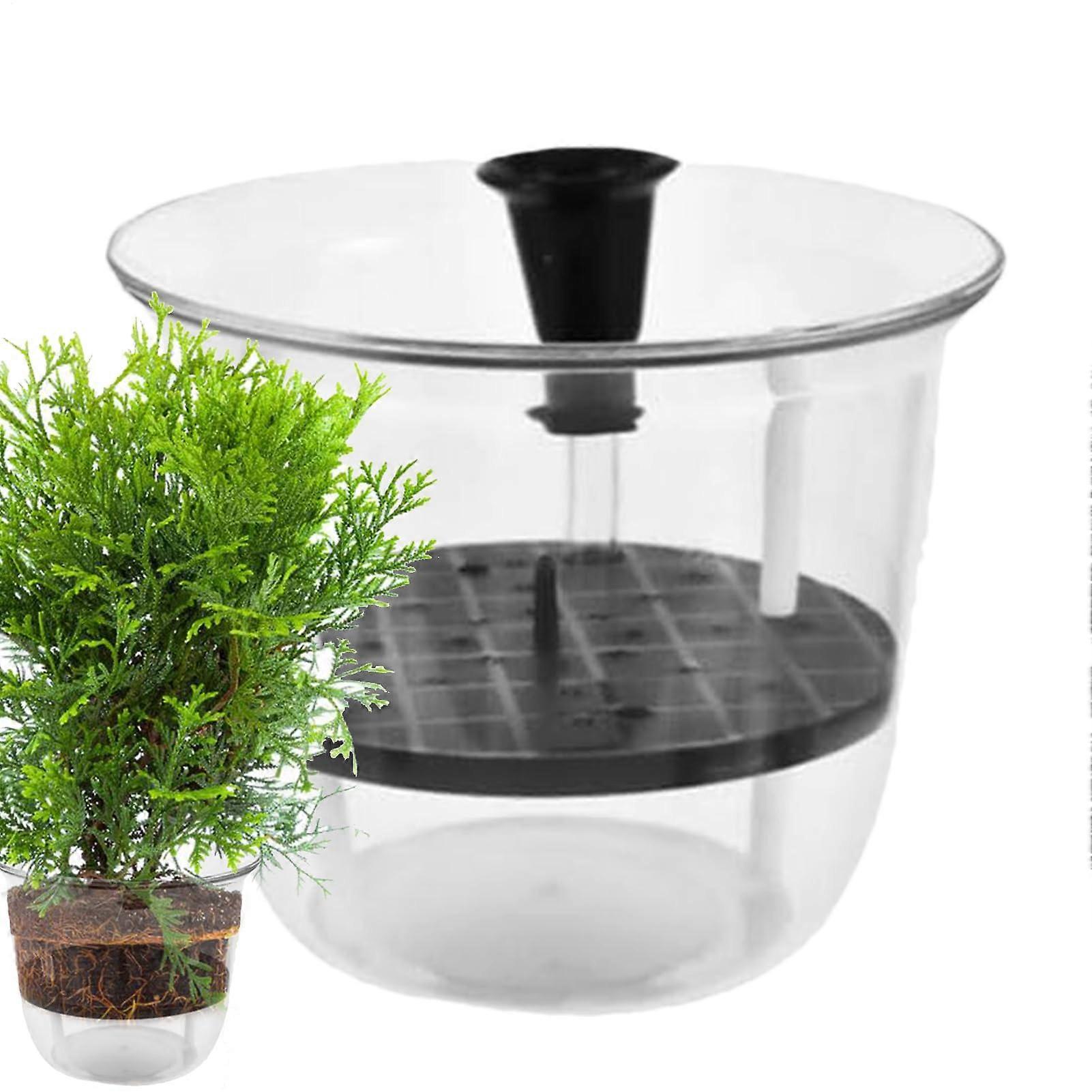 Generic SelfWatering Plant Pots, automatic, for indoor use, visible water, hydroponic, sturdy, ideal for Strawberry and Tomatoes