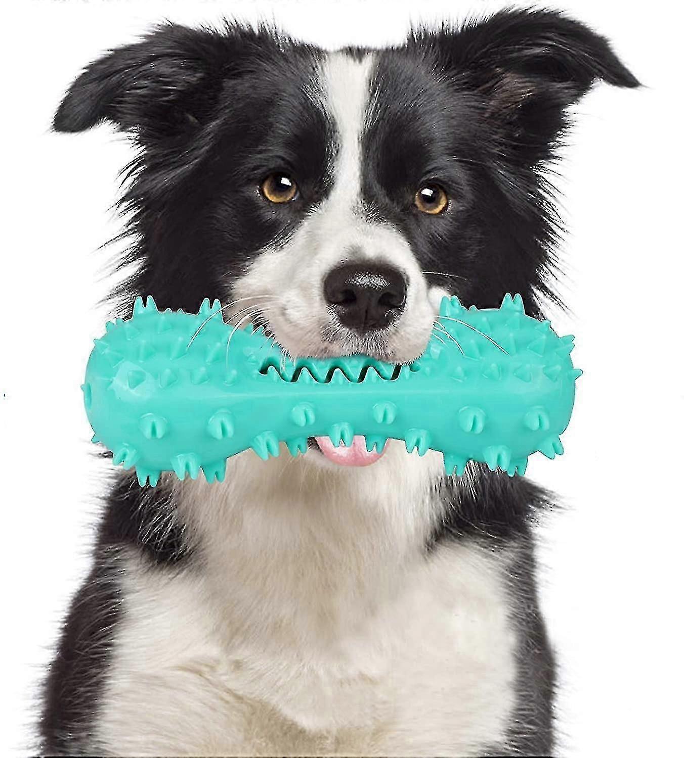 Dog Teeth Chew Toy