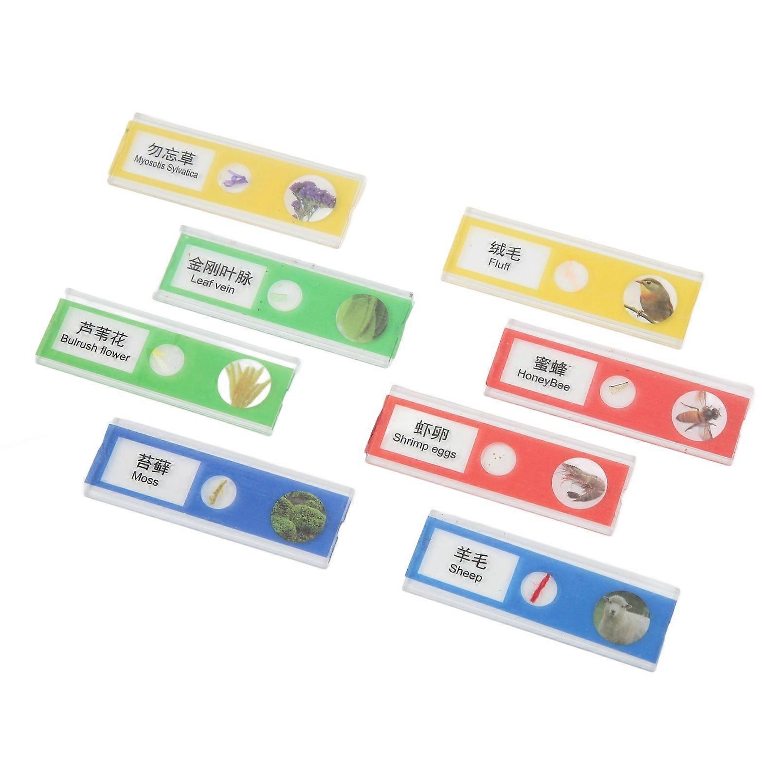 8Pcs Kids Microscope Specimen Slides Insects Plants Educational Prepared Microscope Slides for Home School