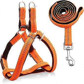 Pettorina riflettente per animali domestici 2025, pettorina morbida regolabile per cani, forma ergonomica, riflettore 3M, fibbia in lega di zinco, design elegante e unico, collare con guinzaglio