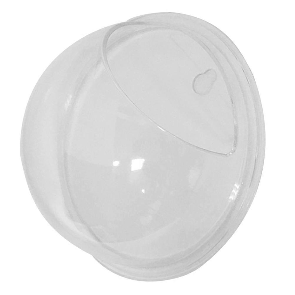 Wall-Mounted Fish Bowl Clear Acrylic Planter for Home