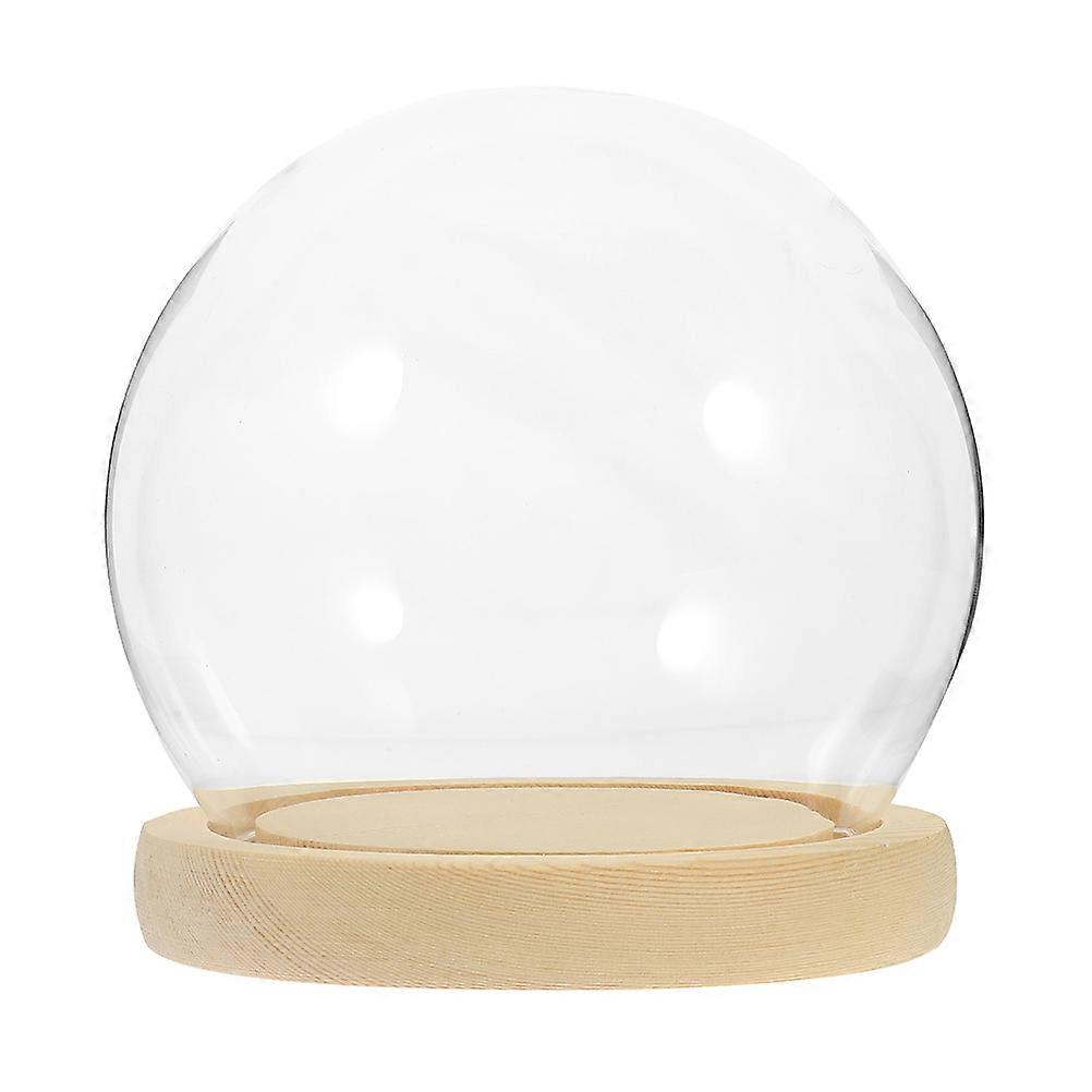 Glass Cloche Dome Display Case with Wood Base for Preserved Flowers