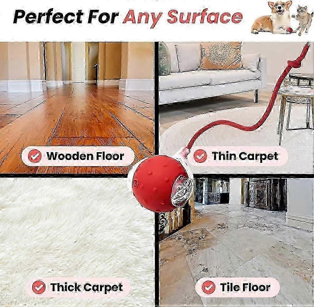 tiny fetch ball interactive pet toy