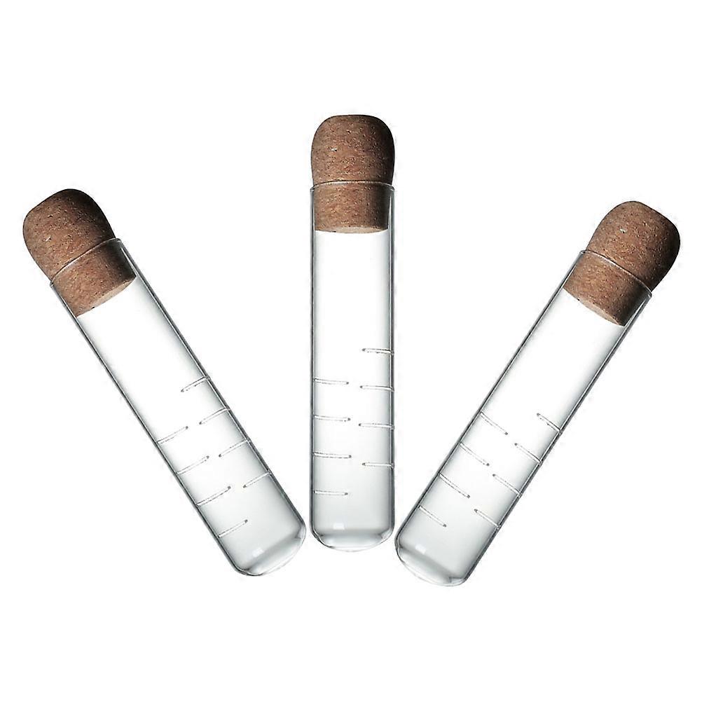 Transparent Glass Tea Strainer for Coffee Lovers 3Pcs Fine Infuser