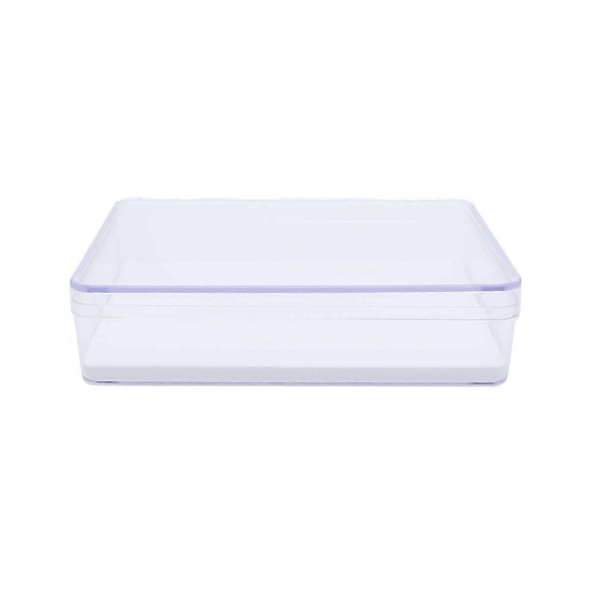 Transparent Insect Specimen Box for Decoration 3Pcs Display Storage Case