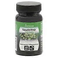 Capsudiet Fennel 40 capsules
