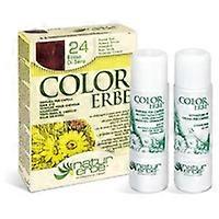 Color Erbe Red Afternoon 1 unit