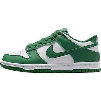 Nike Dunk Skateboard-Schuhe für Kinder FB9109-114