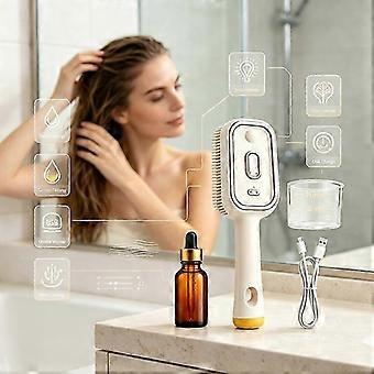 Steam Scalp Massage Hair Brush Kit Portable Rechargeable Mist Comb With Matching Hair Care Accessories_msc
