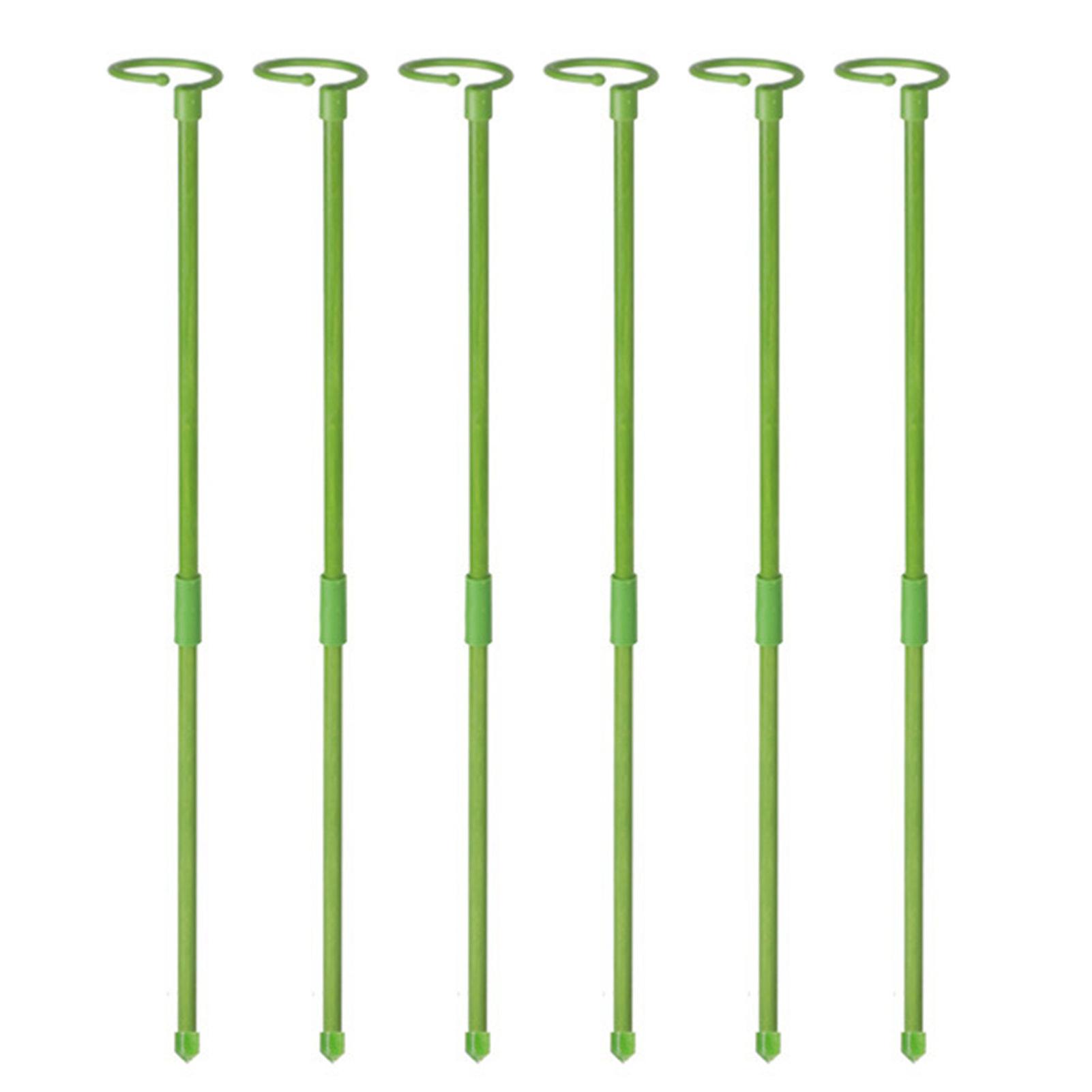 Spliced Butterfly And Orchid Support Wide Range Of Use For Climbing Plants For Household Accessories