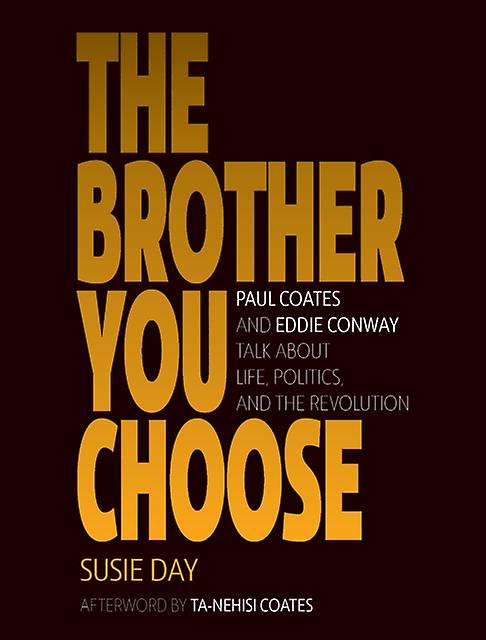 The Brother You Choose by Susie Day Paperback