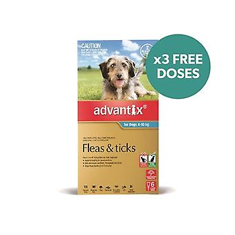 Advantix Aqua 6er Pack Medium für Hunde von 4-10kg