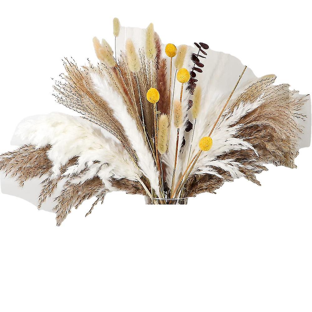 Pcs Dried Pampas Grass Boho R Fluffy Dried R Boho Bath R,