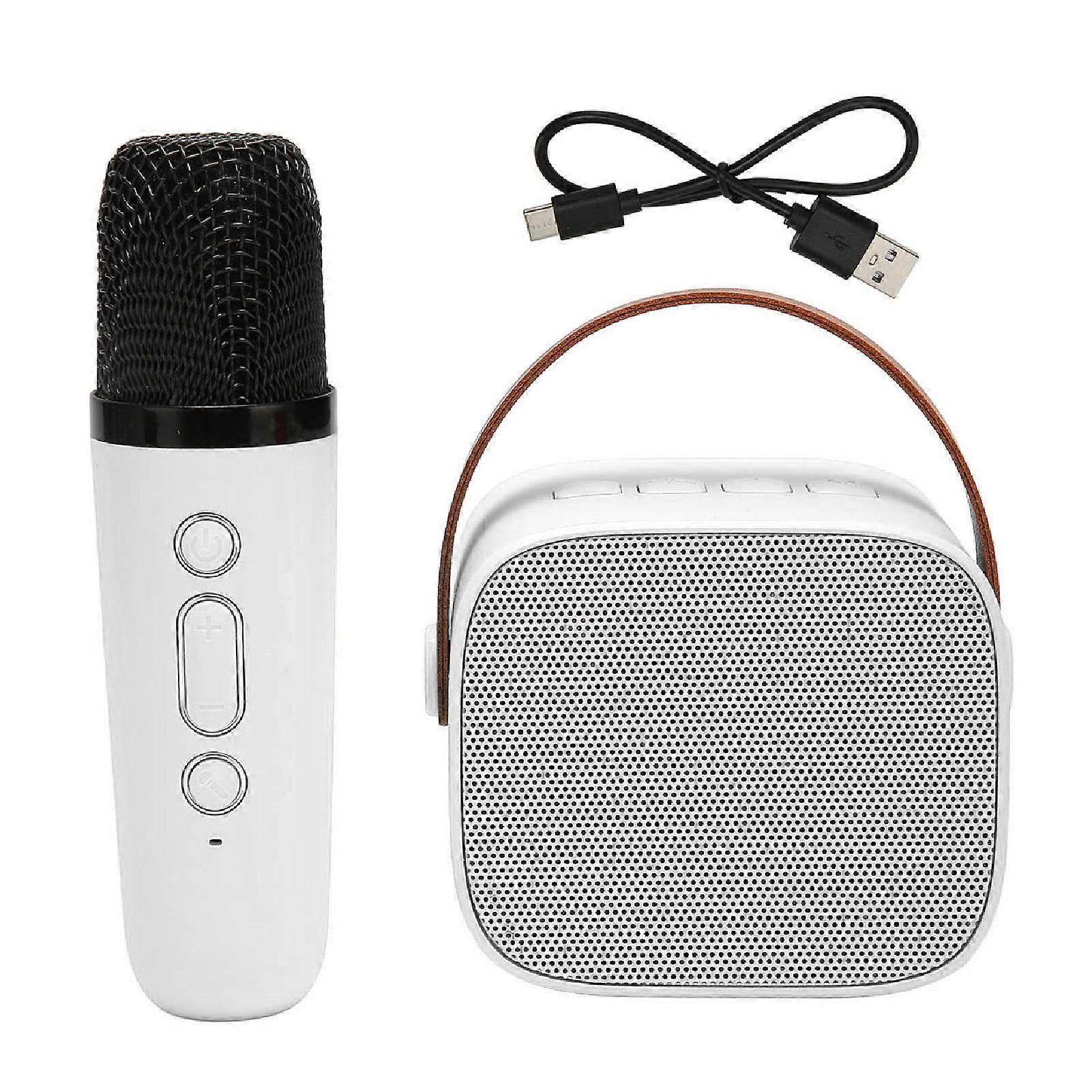 Mini Karaoke Machine Set Support Bluetooth AUX USB Memory Card Portable Bluetooth Speaker with Wireless Microphone White