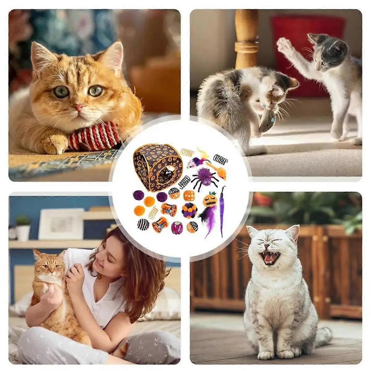 Interactive Toys for Cats Mouse Toy Cat Accessories for Pet Exercise Beneficial Cute Cat Playing To