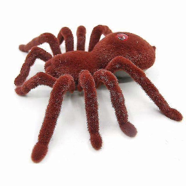 Radio Remote Insect Creepy H Infd Remote Toy