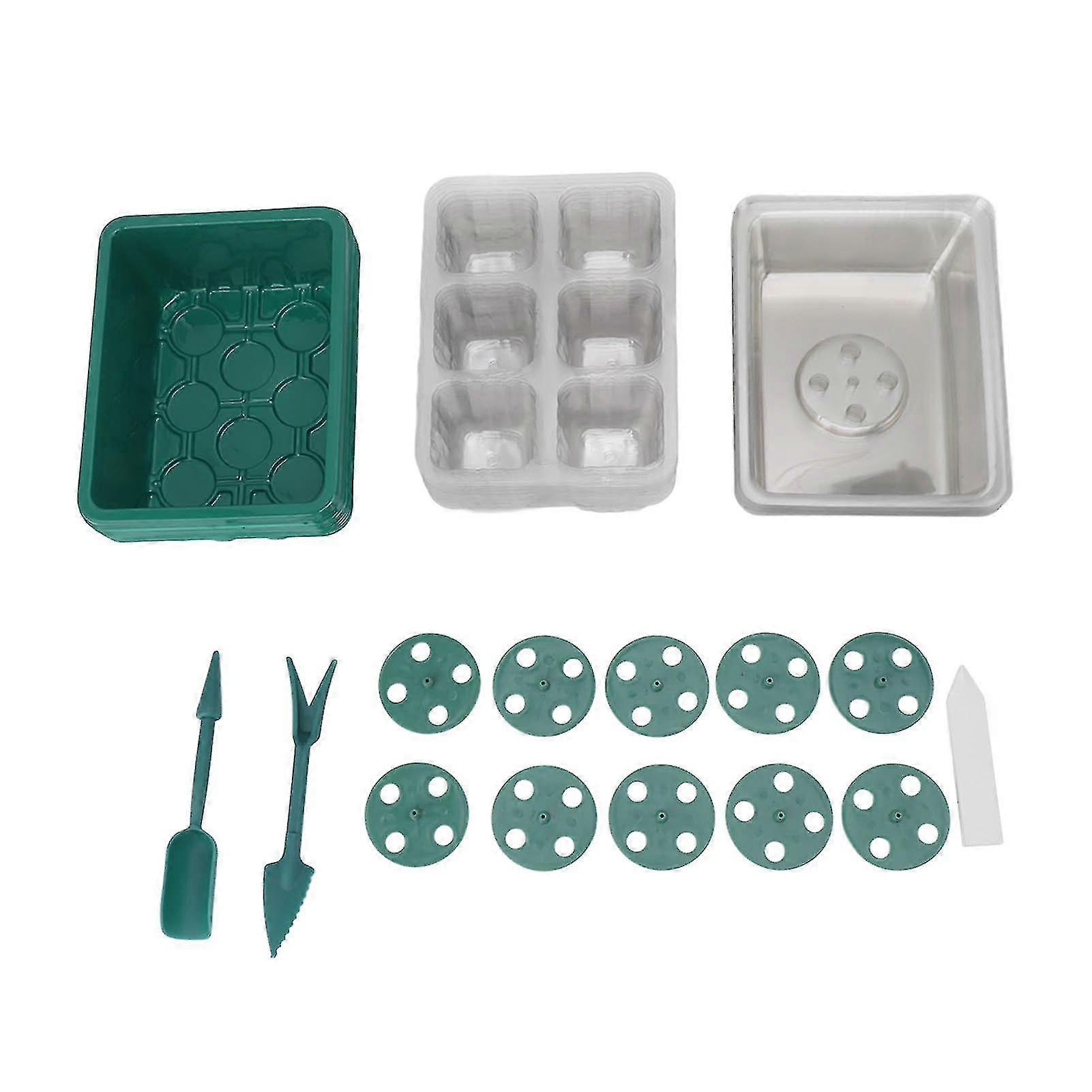 6 Hole Seed Starter Tray - Transparent Plastic Cover - Ideal for Gardening and Horticulture