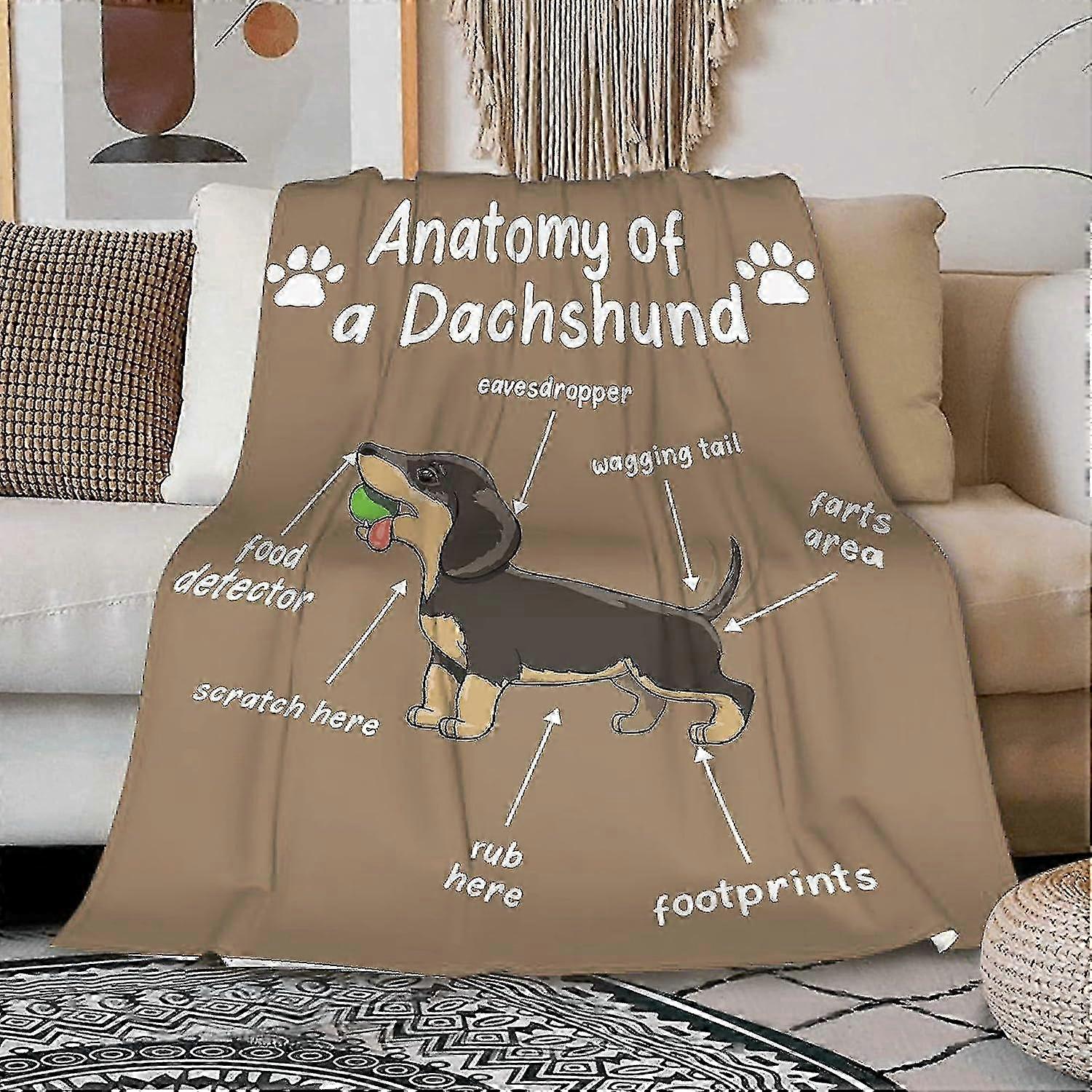 t894 Blanket Squirrel Lover Flannel Throw Blanket Super SoftCozyPlushBlanketsforCouchBed LightweightandDurableSuitableforAllSeasons  Blanket bn894