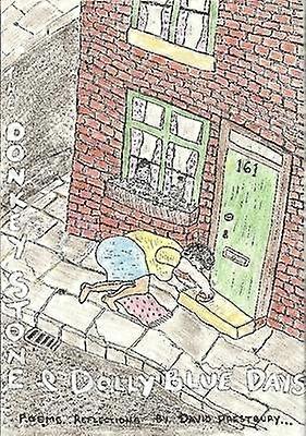 THE Donkey Stone & Dolly Blue Days