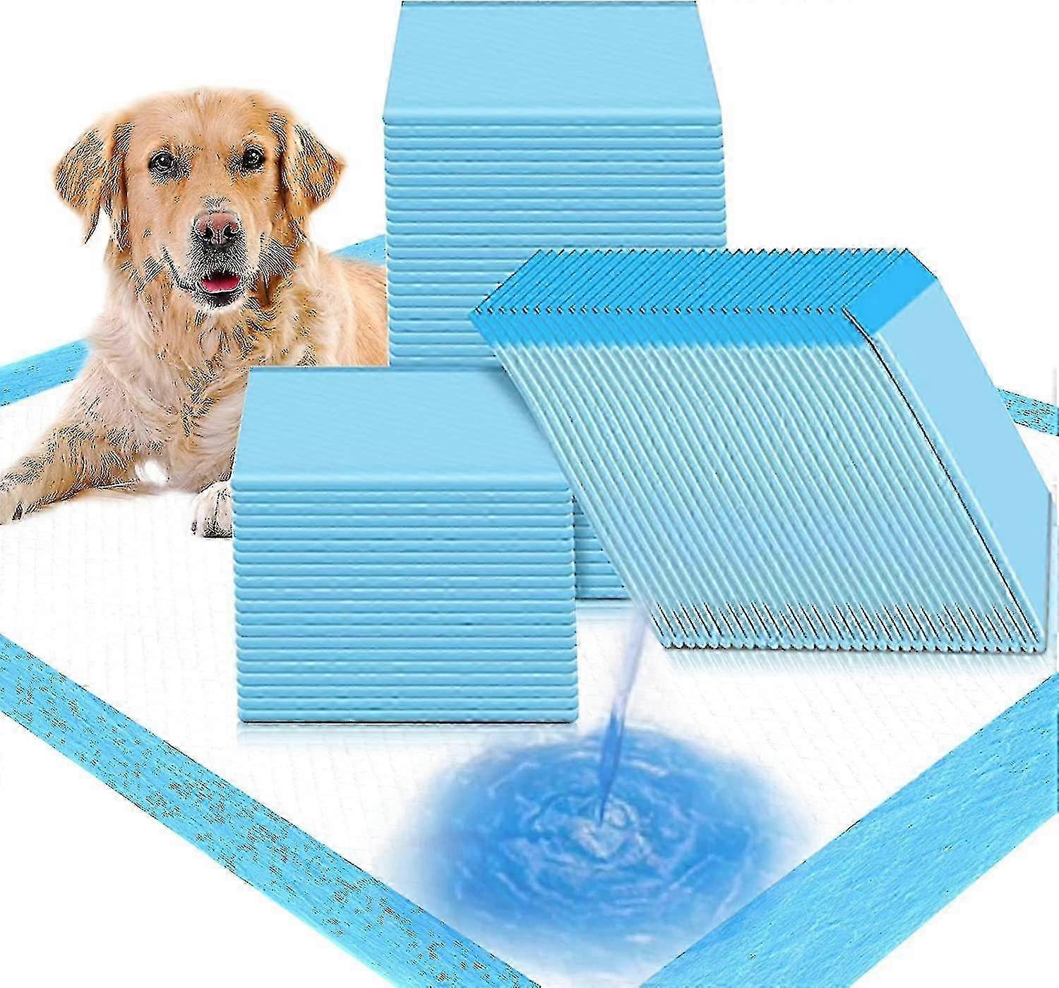 Extra Large Disposable Puppy Training Pads 60 X 90 Cm