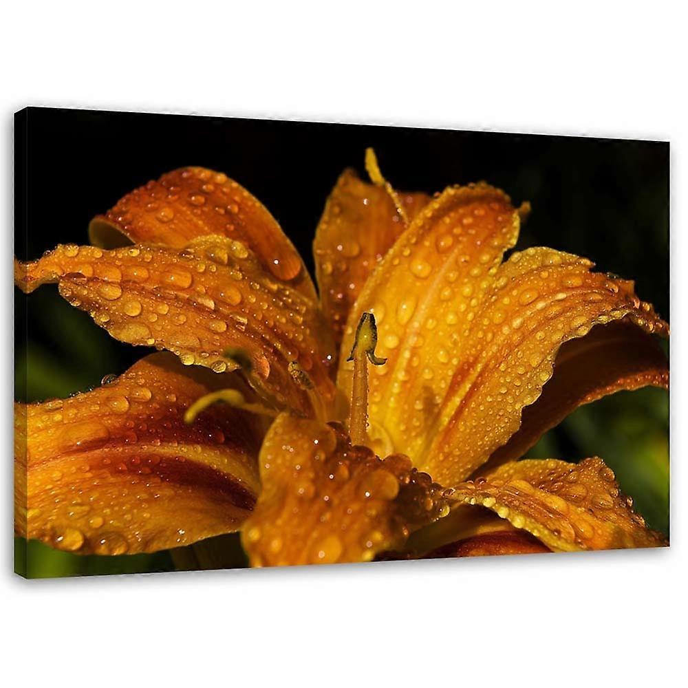 Impression sur toile, Lys doré - 90x60