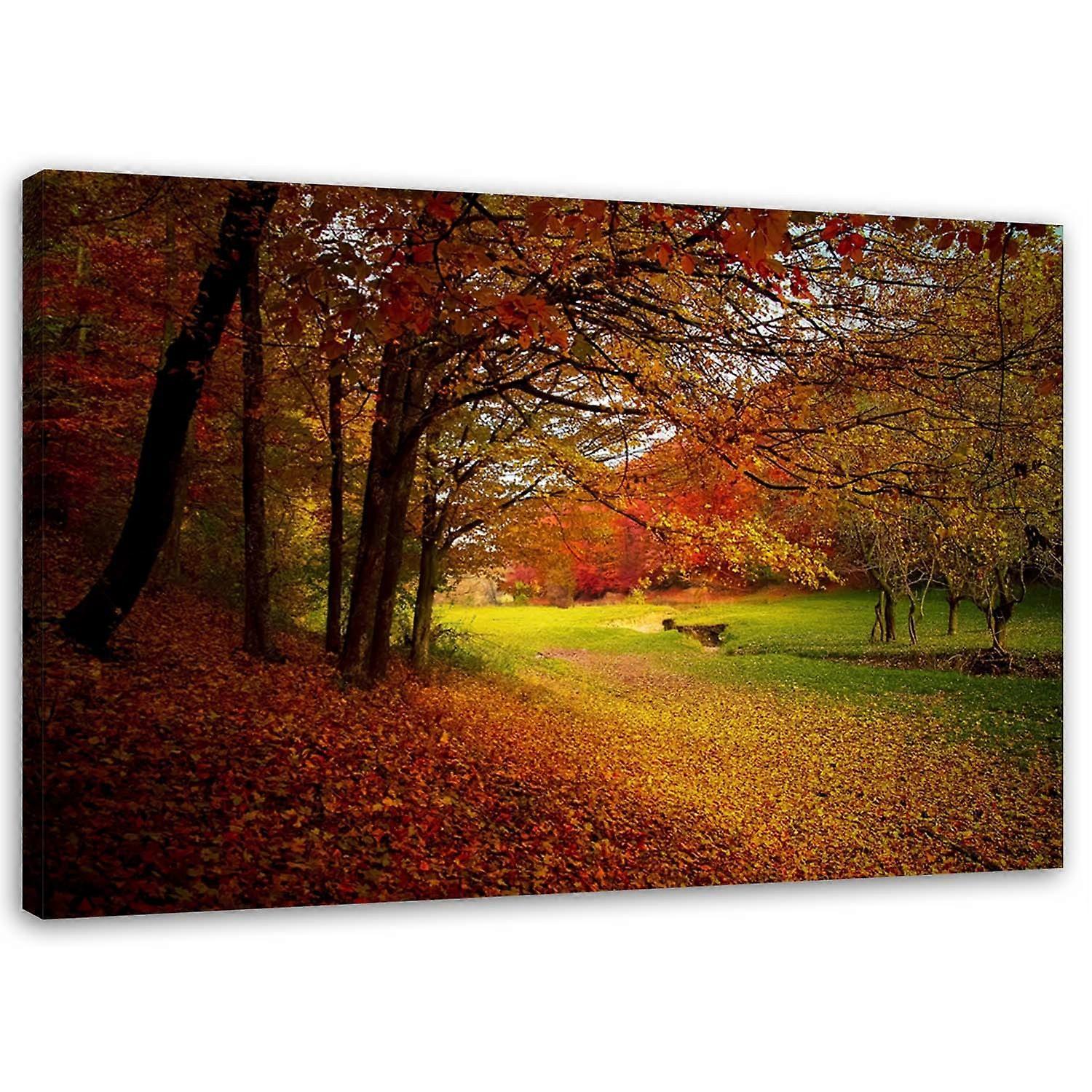 Leinwandbild, Bäume in einer Parklandschaft - 60x40