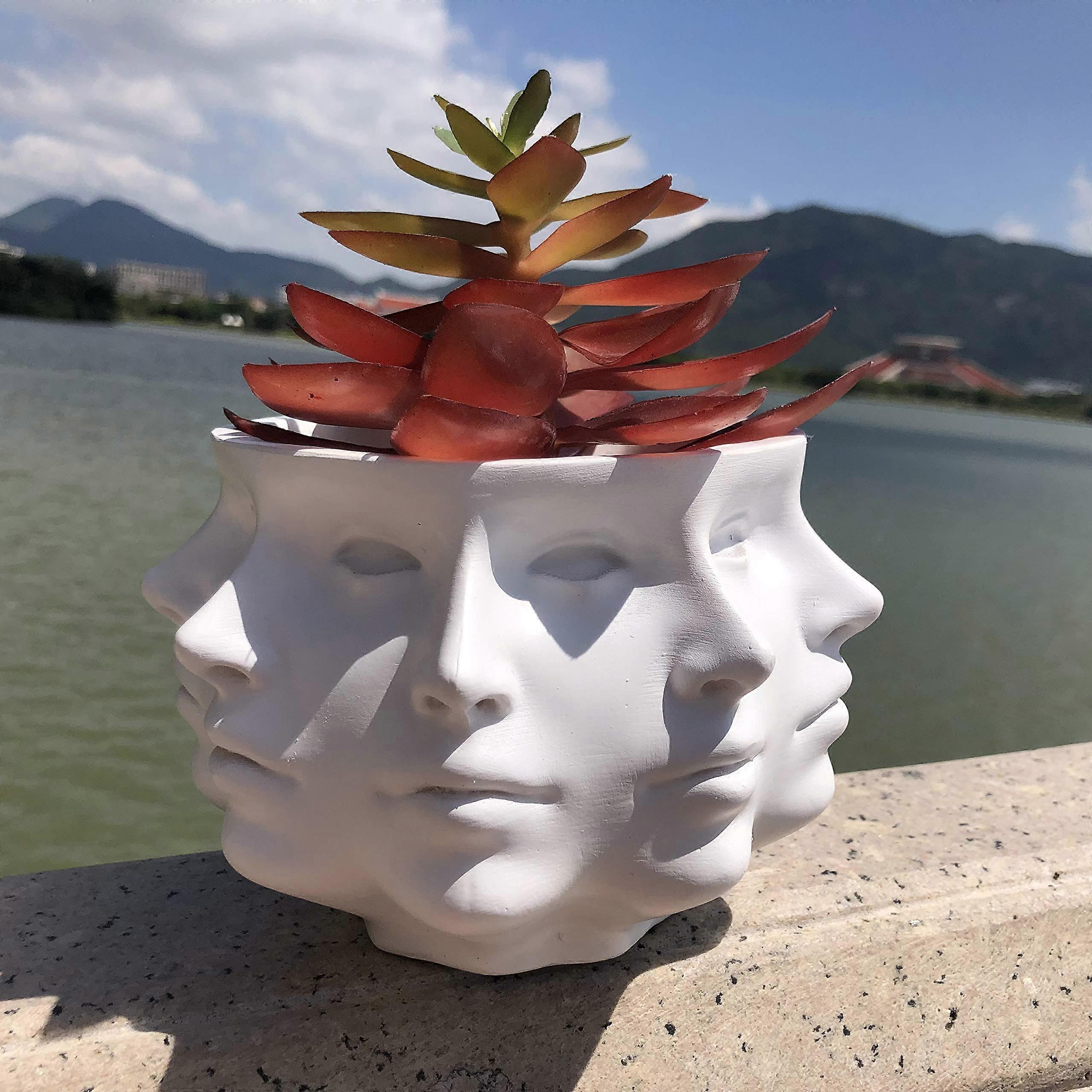 MultiFace Succulent Planter Vase Small Face Plant Head Home Decoration Indoor Cactus Pot