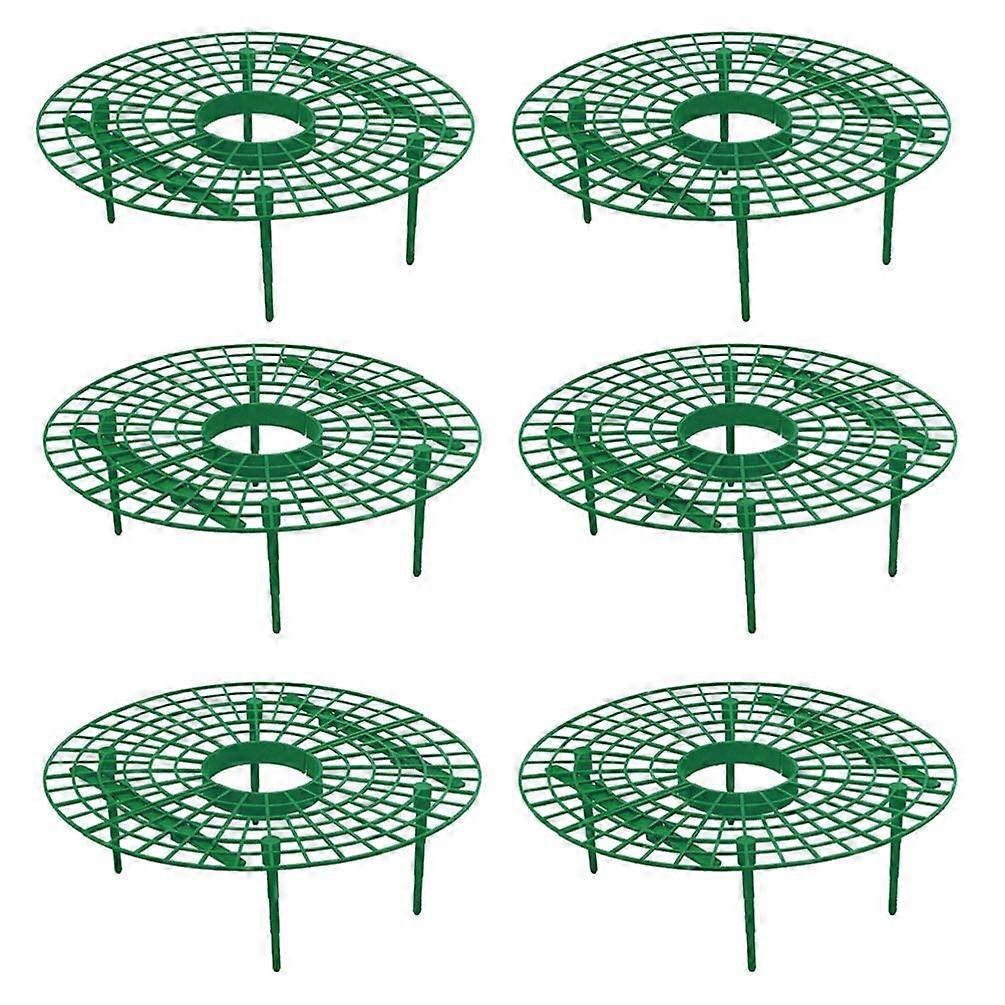 Strawberry Trellis Plant Support Growth Rack Salad Tomatoes Garden Tools