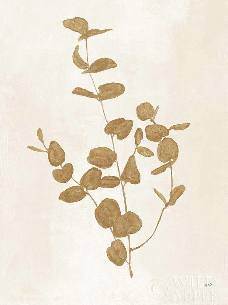 Sea Shell Collection II Poster
