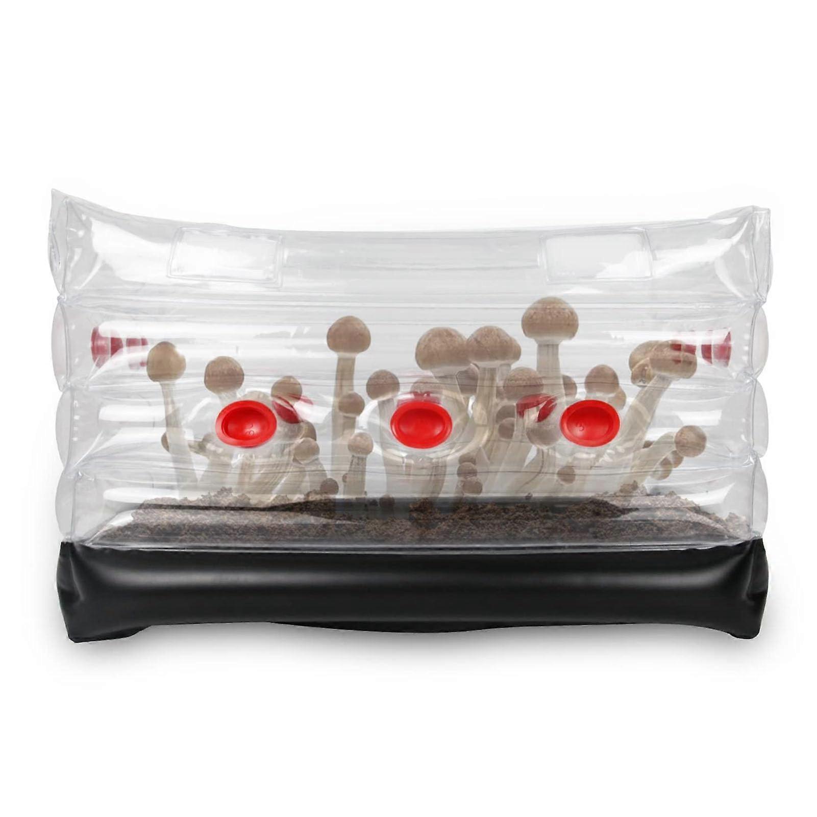 Mushroom Monotub Box Set for Home, Inflatable, Store Your Mushroom Grow Bags, Easy Storage, Large Square Fresh Air Exchange