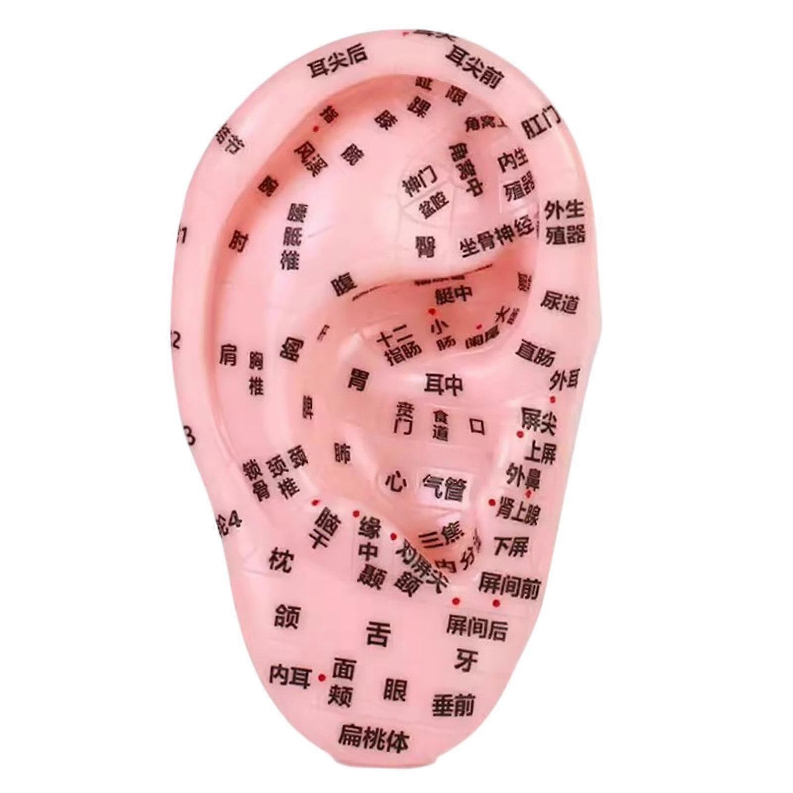Human Ear Acupuncture Point, Auricular Model Simulation, Soft PVC Teaching Aid, Massage Instrument For Spa Acupuncture