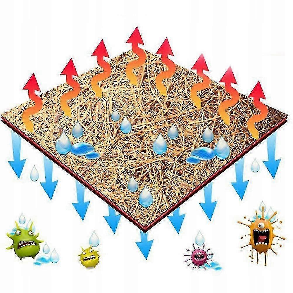 Terrarium with glass container for Leopard animal rug 2025