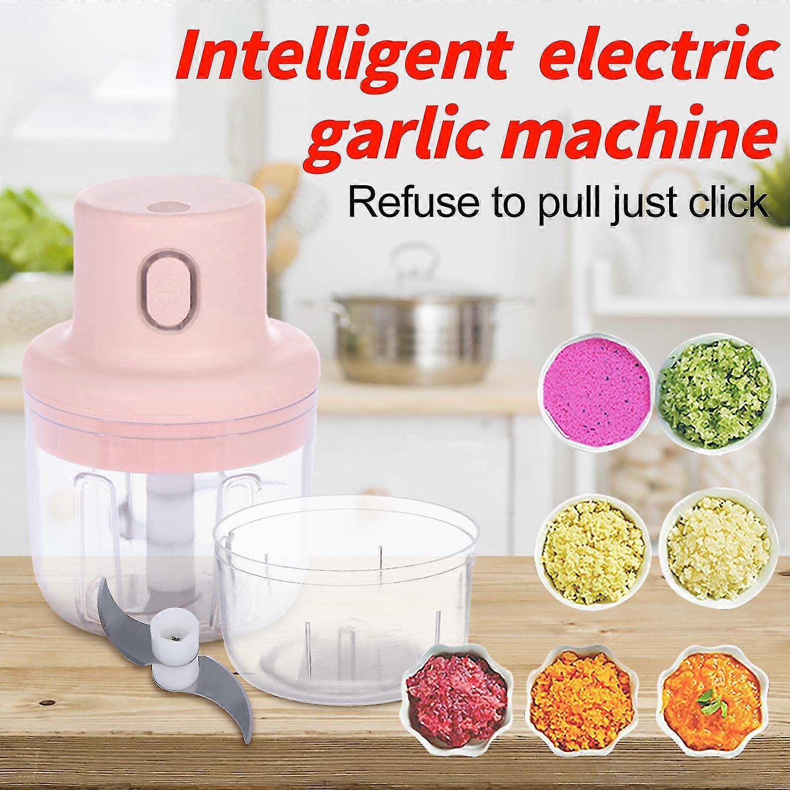 Mini Garlic Chopper, Garlic Press Mr Li Vetable Meat Grinde